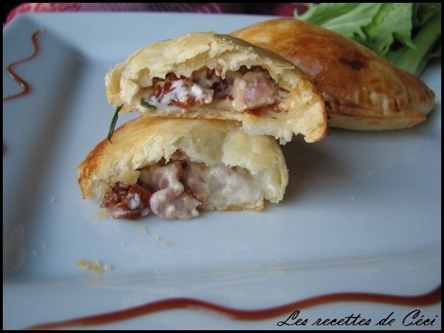 empanadas tomate sechees