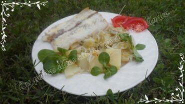 filet de sabre